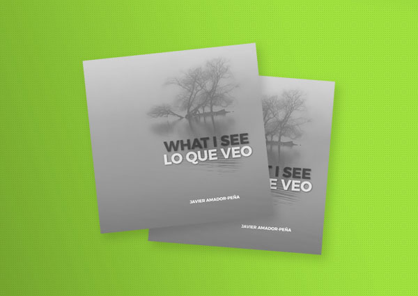 What I See / Lo Que Veo